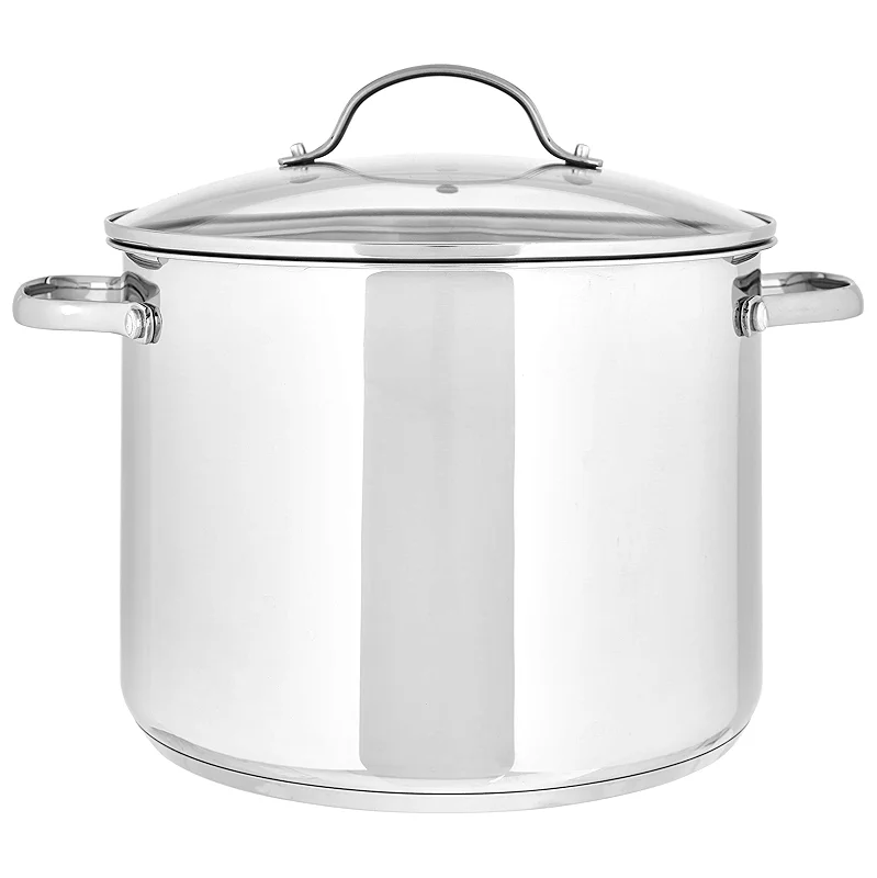 Amazon Basics Stainless Steel Induction Compatible Stock Pot with Glass Lid