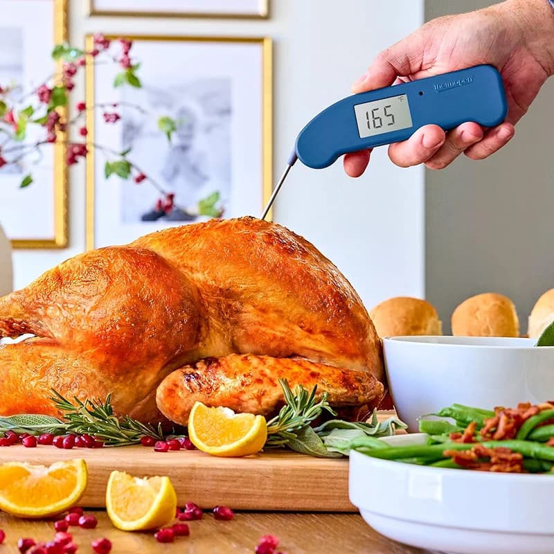 ThermoWorks Thermapen ONE